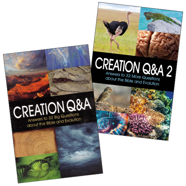 Creation Q&A Set